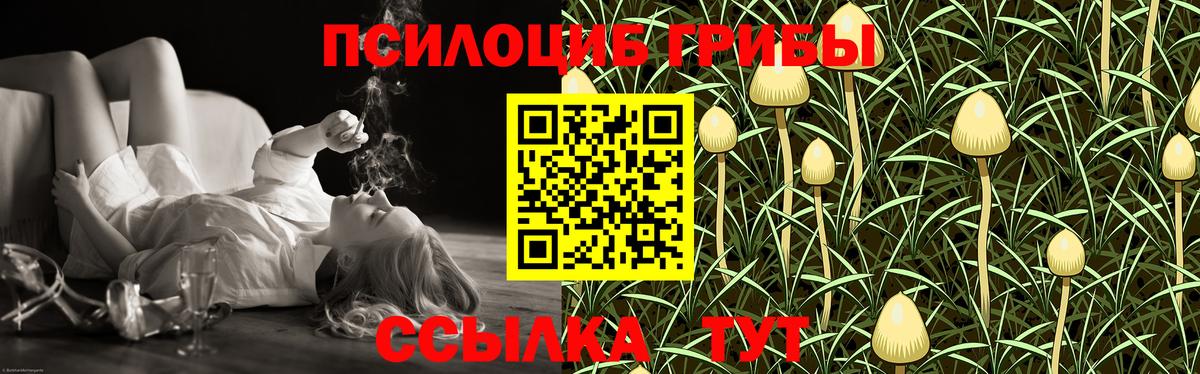 Псилоцибиновые грибы прущие грибы  Вход с VPN  Каменск-Уральский 